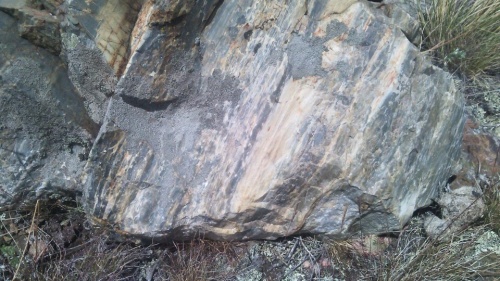 Гигантские зелёные валуны для ландшафтного дизайна весом более 5 тонн купить в Оханске