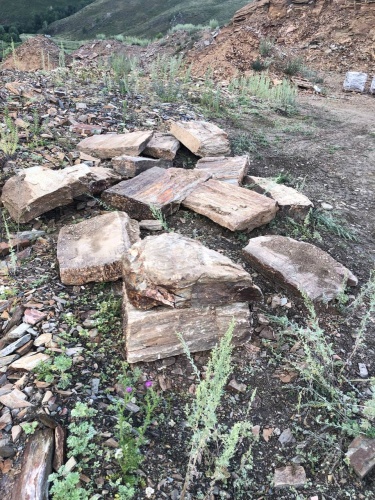 Плитняк кора дерева 50-100мм для пошаговых дорожек купить в Оханске